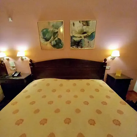 Mountain View Hotel 3*
