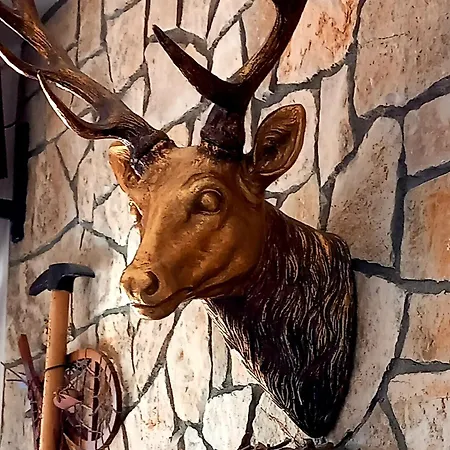 Mountain View Vytina