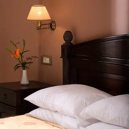 Mountain View Hotel Vytina