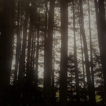ホテル Mountain View