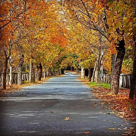 Mountain View Hotell