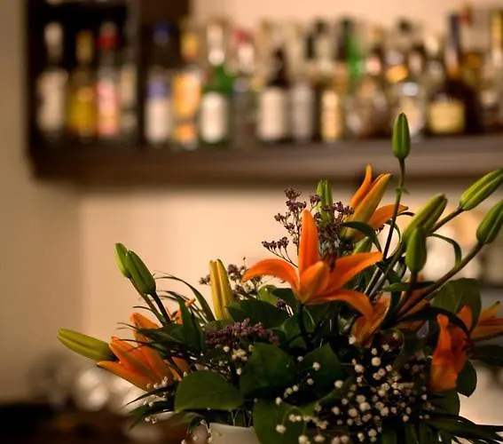 Mountain View 3* Vytina