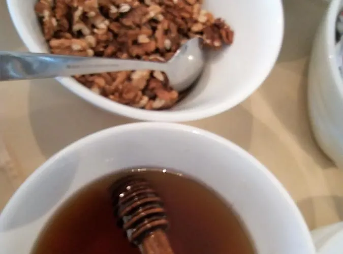 Mountain View Hotell