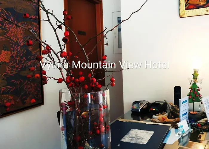 Mountain View Vytina