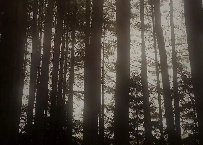 Hotell Mountain View